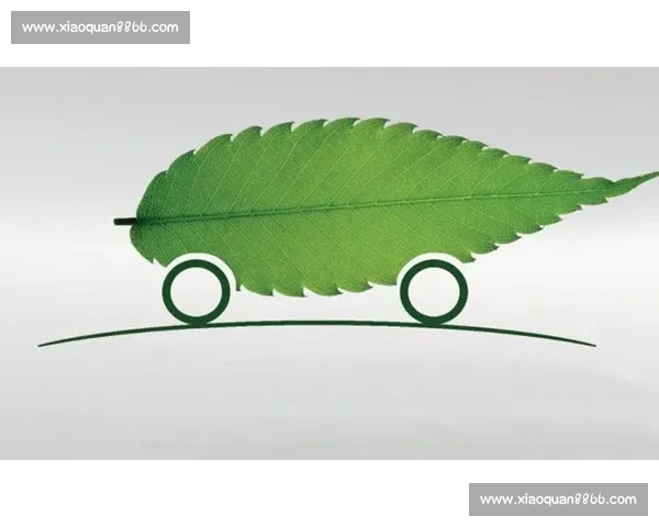 构建全民参与的绿色体育发展新格局与可持续未来路径探索实践创新